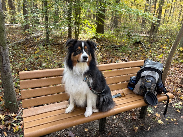 🐾 Huntley Meadows Park Hike — Cedar, Deer & Heron Trail&nbsp;Loop