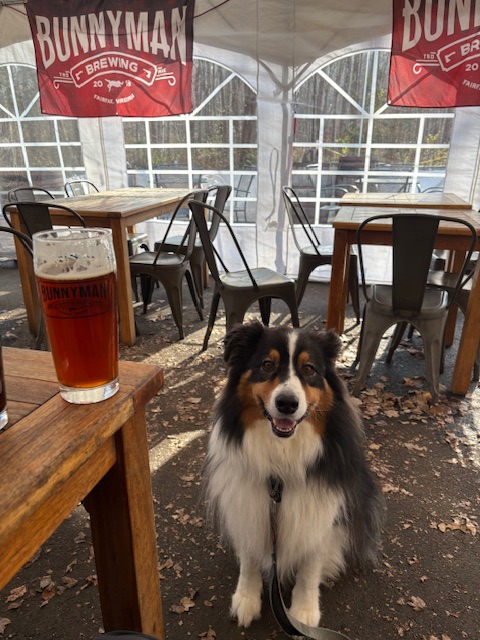 🦴 Bull Run Marina Loop + Bunnyman&nbsp;Brewery