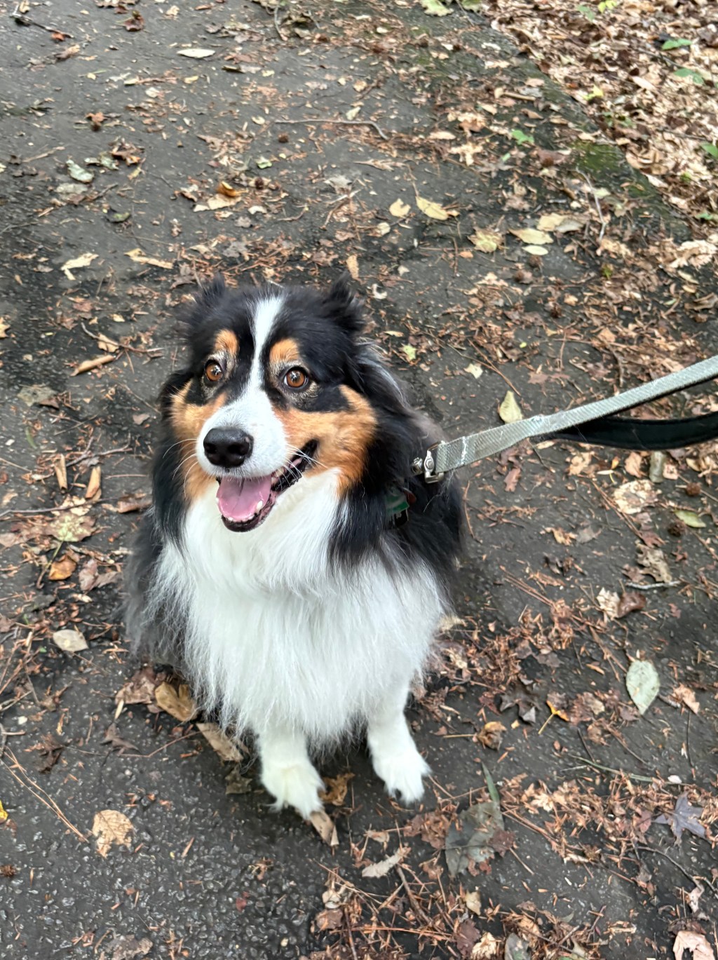 🌿 The Perfect Post-Rain Hike: Great Marsh Trail & Pizza at Bunnyman&nbsp;Brewing